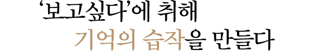 '보고싶다'에 취해 기억의 습작을 만들다